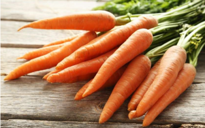 ALIMENTACIÓN Y VISIÓN